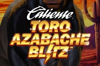 17511 toro azabache blitz